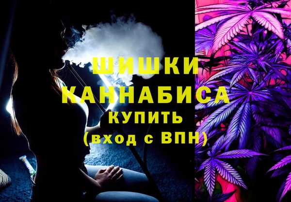соль ск Ладушкин