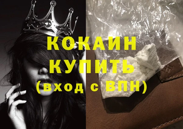 винт Лагань